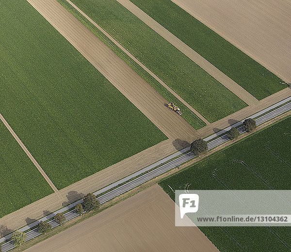 Aerial view combine harvester in agricultural crop  Hohenheim  Baden-Wuerttemberg  Germany