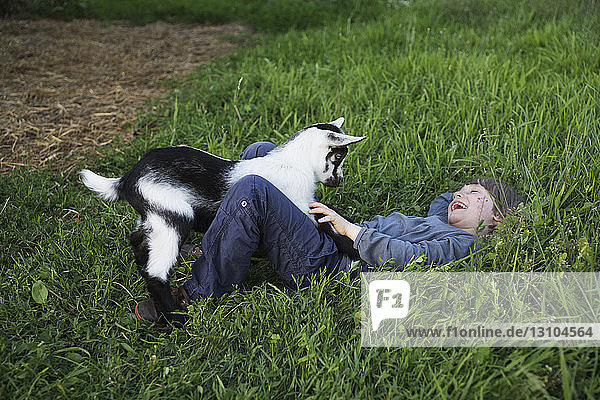 Happy girl playing with goat in grass