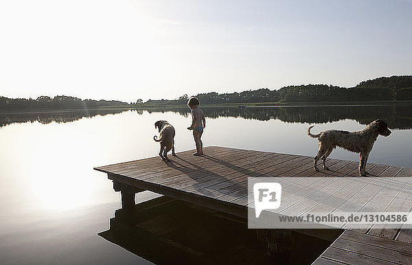 Girl and dogs on lakeside dock