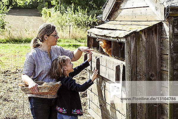 Frau und Mädchen sammeln Eier aus einem Hühnerstall.