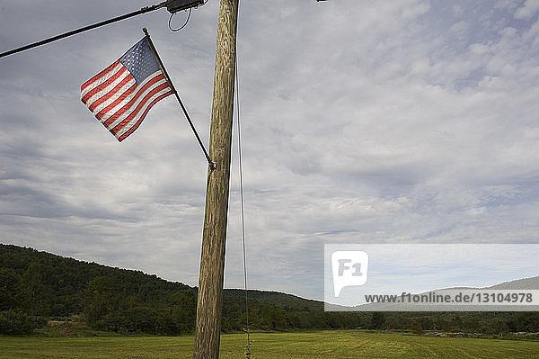 Amerikanische Flagge und Telefonmast auf einem Feld in der Nähe von Roscoe  New York USA