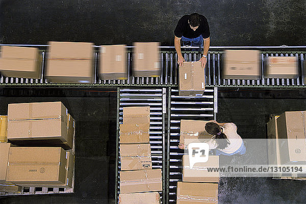 Lagerarbeiter organisieren Kartons  die sich auf einem Förderband in einem Distributionslager bewegen.