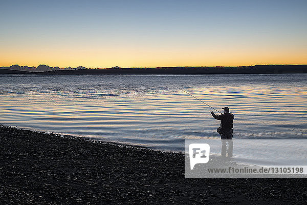 A fly fisherman gets ready to wade into salt water at sunrise and fly fish for coastal cutthroat trout and salmon at a beach on the north west coastline of the USA. USA