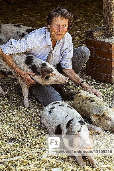 Lächelnde ältere Frau kniend im Stall mit Gloucester Old Spot-Schweinen.