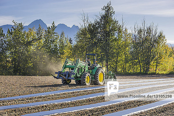 A farmer drives a tractor ploughing a field with dust blowing up behind  Pioneer Peak in the background  Chugach Mountains  South-central Alaska; Palmer  Alaska  United States of America