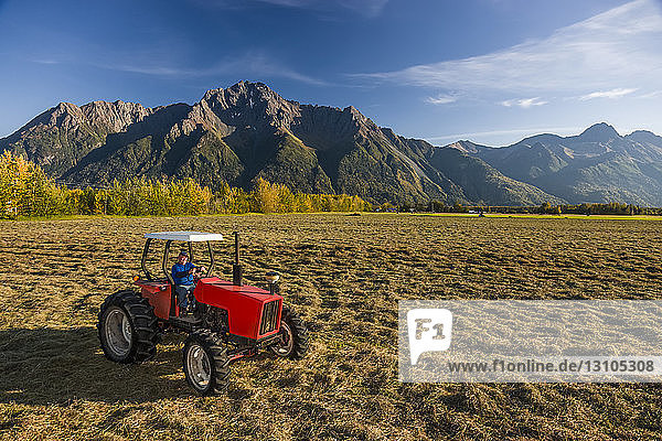 A farmer wearing a blue shirt sits on an old red tractor in an open field  Pioneer Peak in the background  South-central Alaska; Palmer  Alaska  United States of America