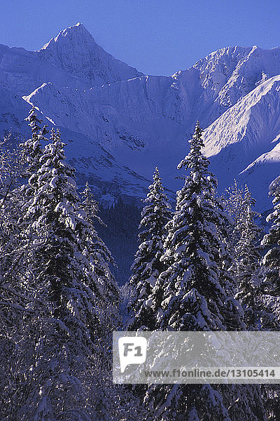Alsek Range In Winter Southeast Alaska