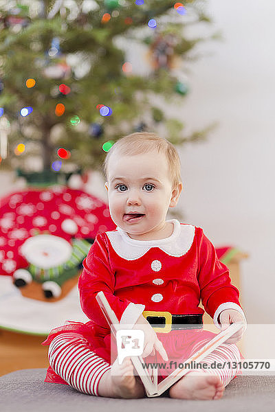 Porträt eines Kleinkindes  das in seinem festlichen Weihnachtsoutfit vor dem Weihnachtsbaum ein Buch liest; Langford  British Columbia  Kanada