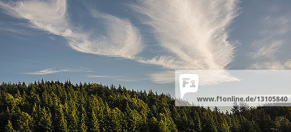 Starker Wind erzeugt skurrile Wolken; Astoria  Oregon  Vereinigte Staaten von Amerika