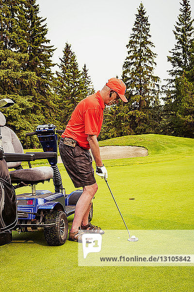 Ein körperlich behinderter Golfer  der einen speziellen Elektrorollstuhl für den Golfsport benutzt  bereitet sich auf dem Putting Green auf seinen Schlag vor; Edmonton  Alberta  Kanada