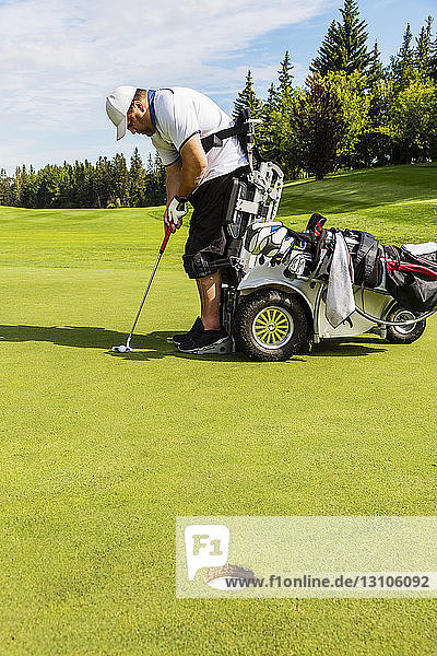 A physically disabled golfer lining up his shot before putting a ball on a golf green and using a specialized golf assistance motorized hydraulic wheelchair; Edmonton  Alberta  Canada