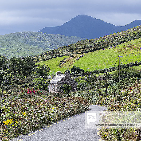 Eine Straße  die sich durch die bergige Landschaft der Grafschaft Kerry schlängelt  mit leuchtend grünen Feldern und bunten Wildblumen am Straßenrand; Castlegregory  Grafschaft Kerry  Irland