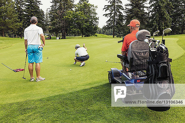 Two able bodied golfers team up with a disabled golfer using a specialized powered golf wheelchair and putting together on a golf green playing best ball; Edmonton  Alberta  Canada