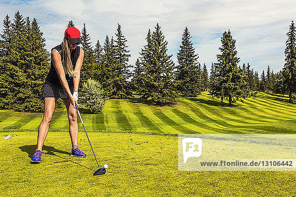 Ein weiblicher Golfprofi richtet ihren Driver auf dem Abschlag zum Golfball aus  mit Blick auf das Grün im Hintergrund; Edmonton  Alberta  Kanada