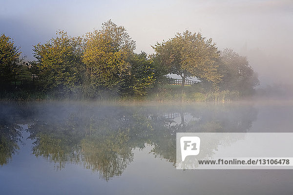 Mist over a lake on an autumn morning; Moulin de Boiron  Belgium