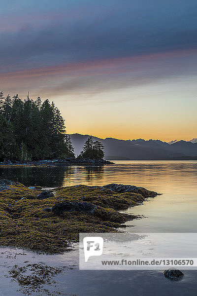 Abenddämmerung über Dodd Island in der Broken Group Islands,  Pacific Rim National Park Reserve; British Columbia,  Kanada