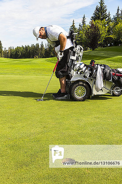Ein körperlich behinderter Golfer  der einen Ball auf ein Golfgrün schlägt und einen speziellen motorisierten Hydraulikrollstuhl zur Golfunterstützung benutzt; Edmonton  Alberta  Kanada