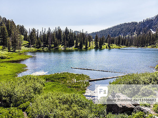 Tranquil lake with lush foliage and forest; Richmond  Utah  United States of America