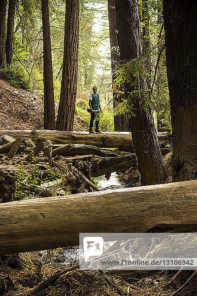 A man stands on a log over a stream in a forest  Julia Pfeiffer Burns State Park; California  United States of America