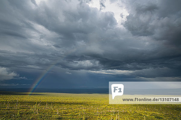 Regenbogen durch die Gewitterwolken auf ein darunter liegendes Feld während eines Sommergewitters  in der Nähe von Old Crow; Yukon  Kanada