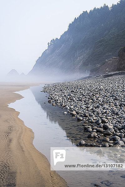 Ebbe und Nebel am Arch Cape Beach; Arch Cape  Oregon  Vereinigte Staaten von Amerika