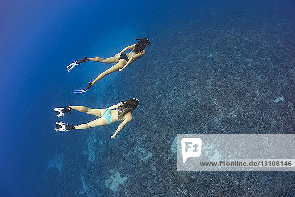 Two women free diving at Molokini Marine Preserve off the island of Maui; Maui  Hawaii  United States of America