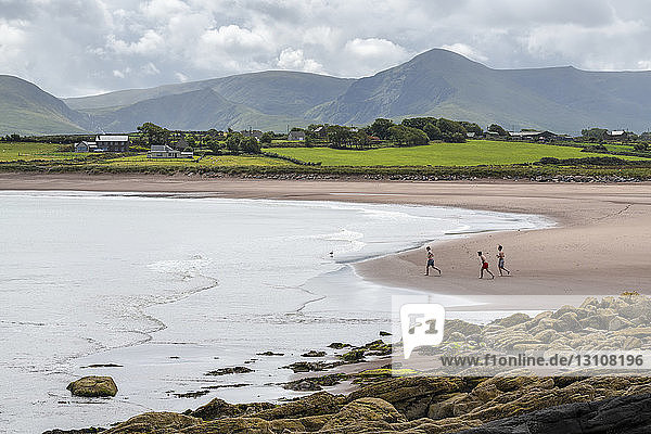 Männer in Badeanzügen rennen zum Wasser an einem Strand entlang der Küste; Goulane Ard  Grafschaft Kerry  Irland