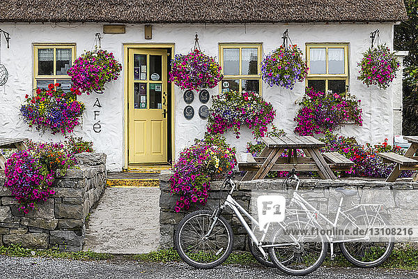 Mit blühenden Blumen geschmückte Ladenfront und zwei davor geparkte Fahrräder; Kilronan  County Galway  Irland