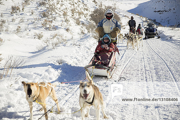 Familienhundschlittenfahrt auf verschneitem Feld
