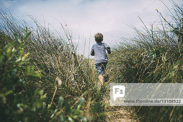 Rear view of boy running on field amidst plants at A_o Nuevo State Park