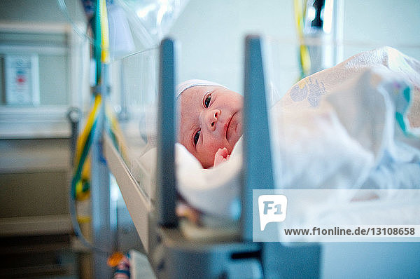 Porträt eines neugeborenen Mädchens  das im Krankenhaus in einer Krippe liegt