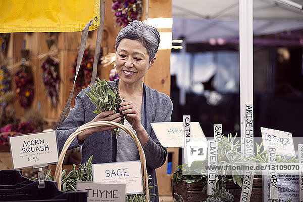 Lächelnde reife Frau untersucht Kräuter am Marktstand des Bauern