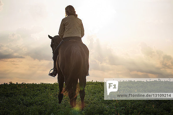 Rückansicht einer Frau  die auf einem Pferd auf einem Grasfeld vor bewölktem Himmel reitet