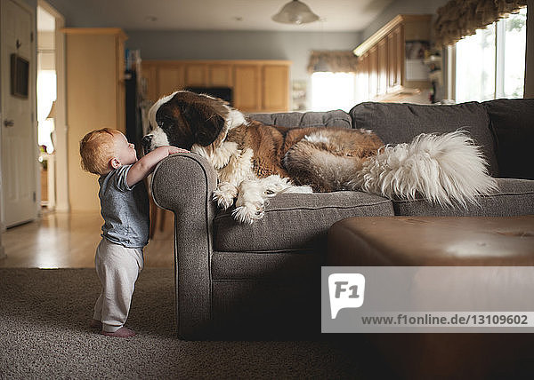 Side view of baby boy playing with dog lying on sofa at home