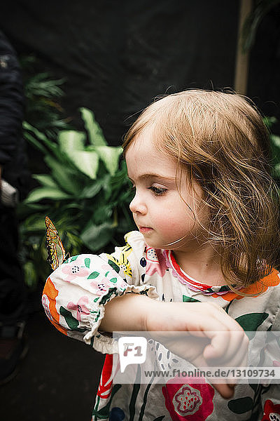 Cute baby girl holding butterfly while standing against plants