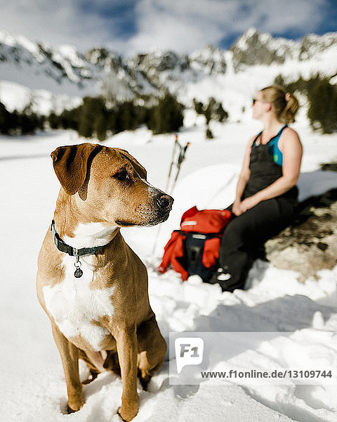 Female hiker and dog sitting on snowy field against mountains