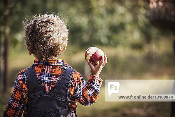 Rear view of boy holding eaten apple