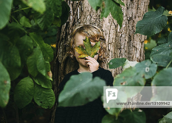 Junge versteckt Gesicht mit Blatt  während er am Baum steht