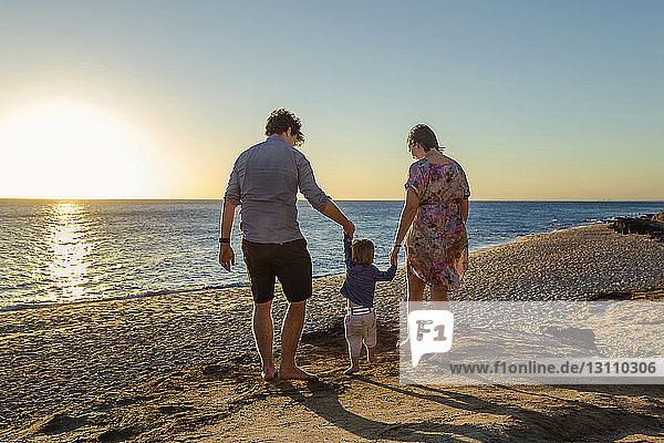 Rear view of parents holding son's hands while walking at beach during sunset