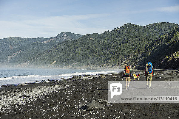 Rear view of hikers with backpacks and dog walking at beach against mountains and sky