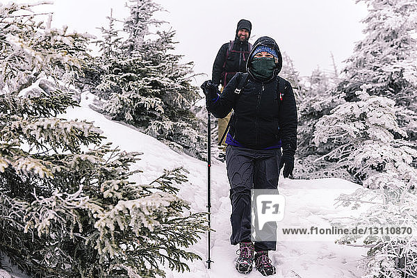 Freunde mit Wanderstöcken erkunden den Wald im Winter