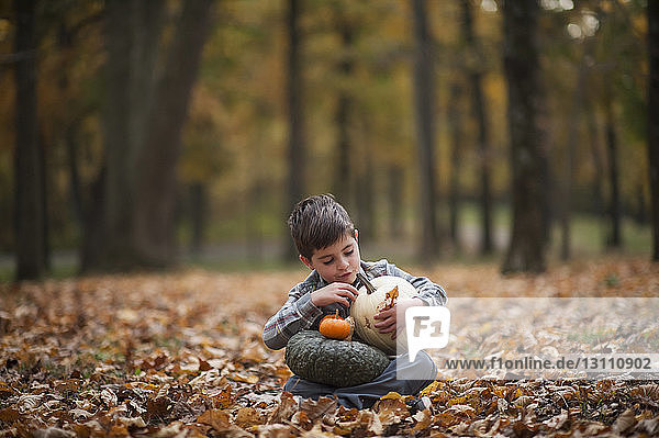 Full length of boy holding pumpkins while sitting on field at park during autumn