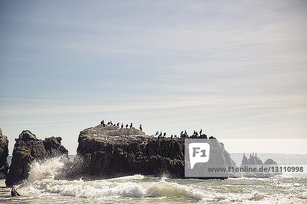 Vögel sitzen auf einer Felsformation im Meer gegen den Himmel