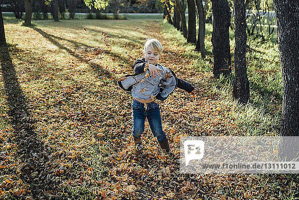 Verspielter Junge wirft Herbstblätter in den Park
