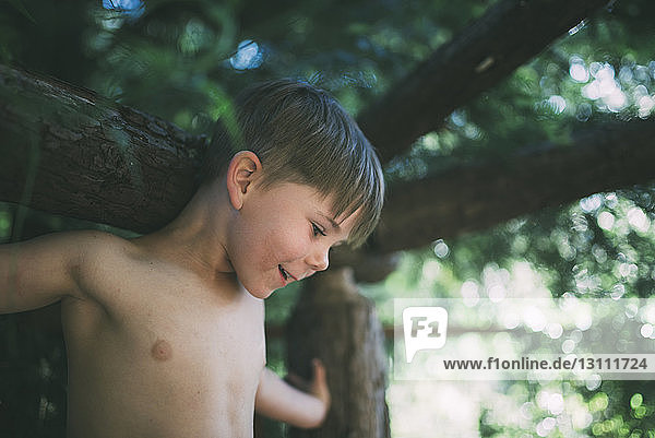 Verspielter Junge klettert auf Baum
