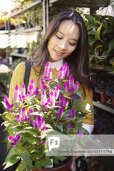 Woman holding and looking at potted plant