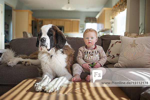 Portrait of cute baby boy sitting with dog on couch in living room at home