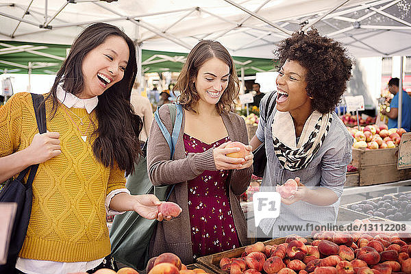 Glückliche Freunde kaufen Früchte am Marktstand