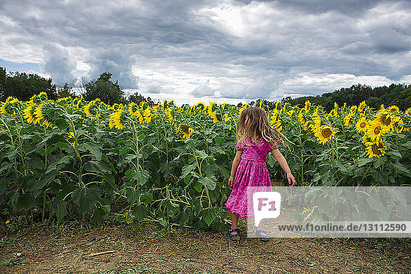 Mädchen steht auf Sonnenblumenfarm vor bewölktem Himmel