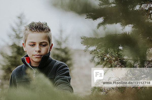 Junge schaut weg inmitten von Bäumen im Wald